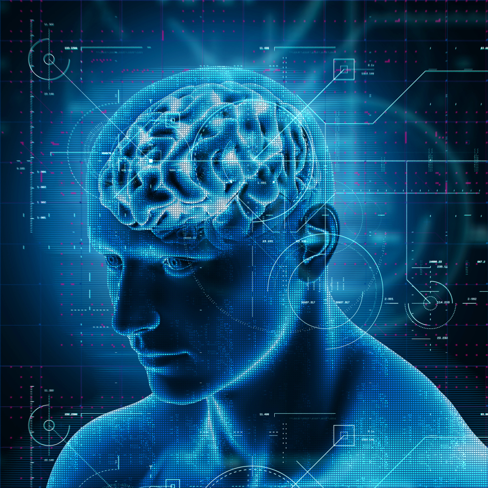 A vitamina K2 também está relacionada à melhora da função cerebral. 