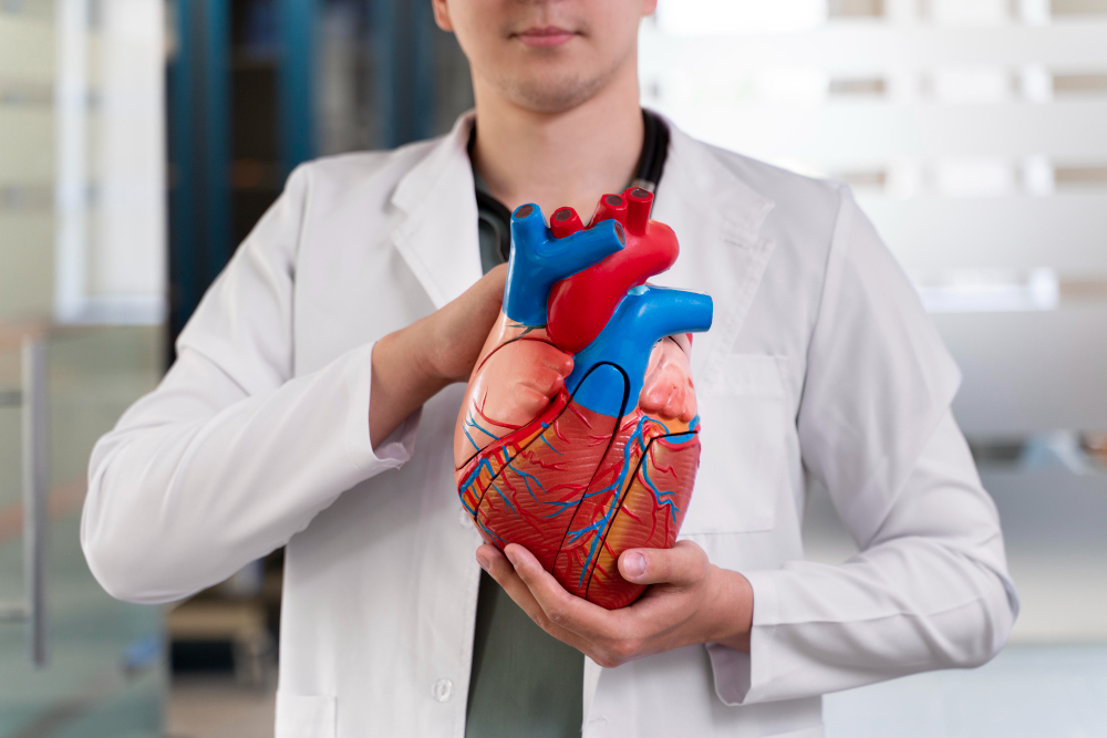Falta de vitamina D pode causar problemas no sistema cardiovascular. Fonte da imagem: Freepik.