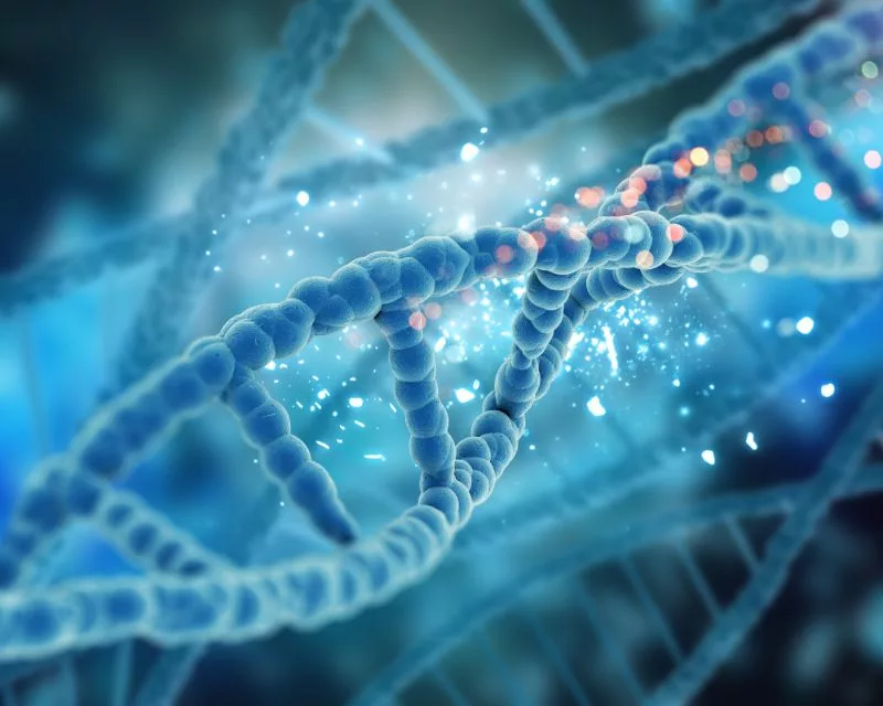 O zinco também tem importância na síntese de DNA. Fonte da imagem: Freepik.